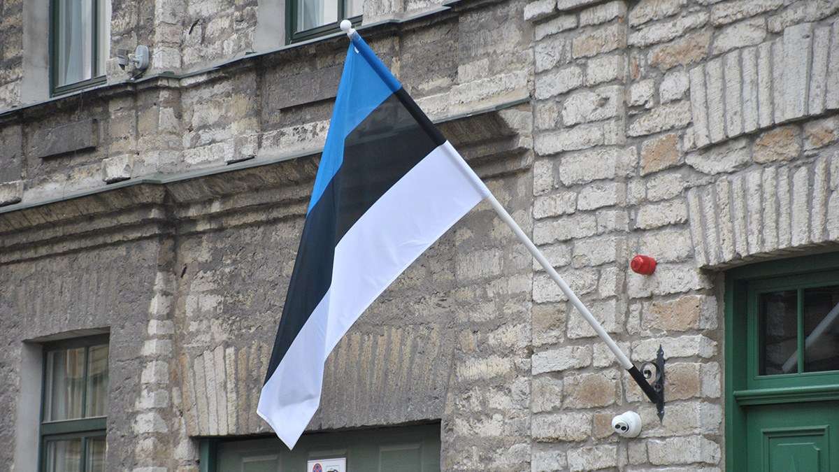 Естонія зазнала найбільшої за всю свою історію кібератаки зображення