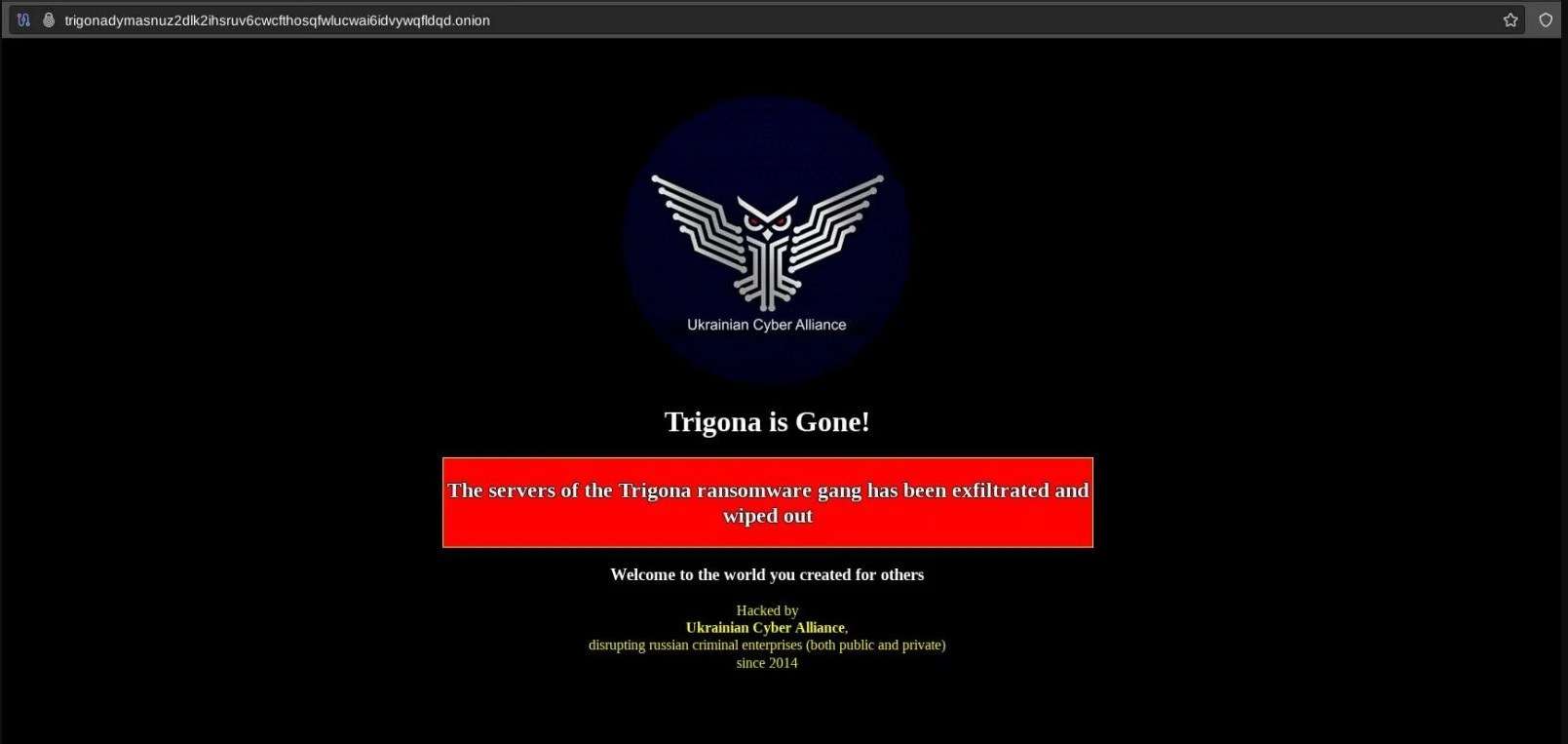 Українські кіберактивісти зламали сервери російських хакерів Trigona зображення